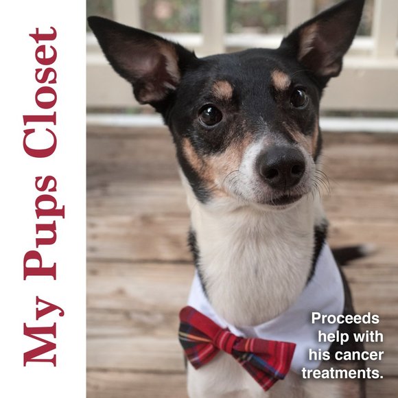 Ann Taylor Sequin Flutter Sleeve Top - Picture 8 of 8